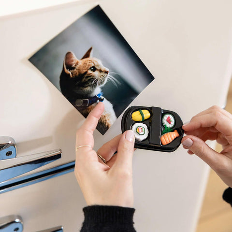 Sushi Magnets Set