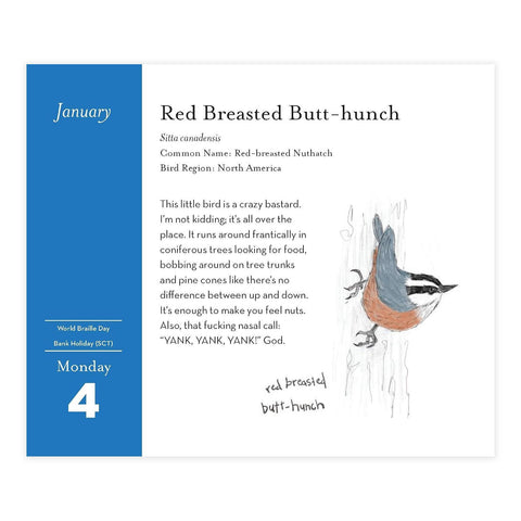 The Field Guide to Dumb Birds 2027 Day-to-Day Calendar