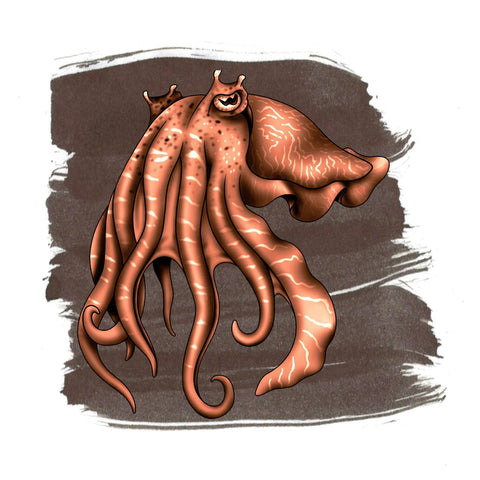 Cuttlefish Brown Ink