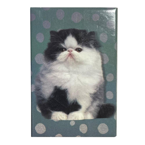 Precious Kitty Matchboxes