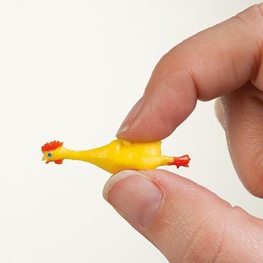 Itty Bitty Rubber Chicken