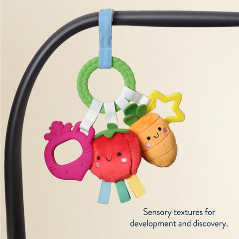 Veggie Bitzy Busy Ring Teething Activity Toy