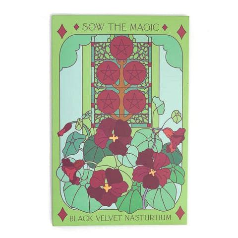 Black Velvet Nasturtium Tarot Seed Packet