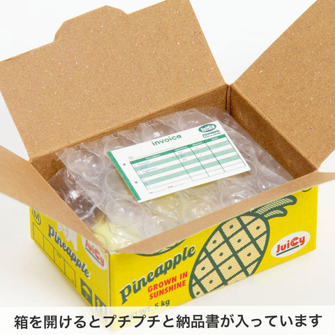 Pineapple Hako Seal Stickers