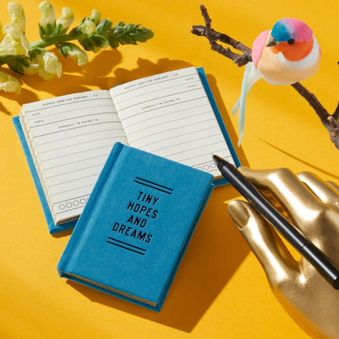 Tiny Hopes + Dreams Tiny Diary