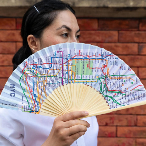 NYC Transit Map Fan