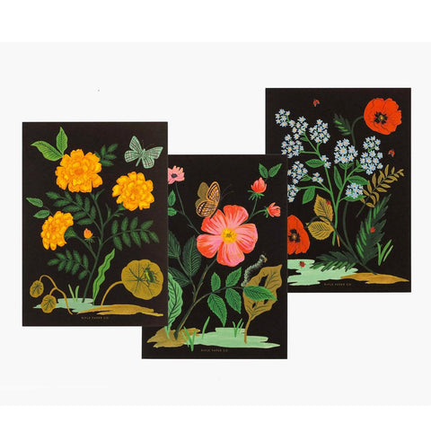 Botanical Stationery Set
