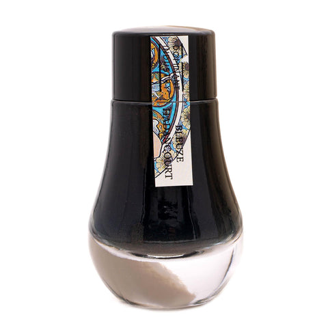 Painter Series Bottled Ink, Bleuze Hadancourt