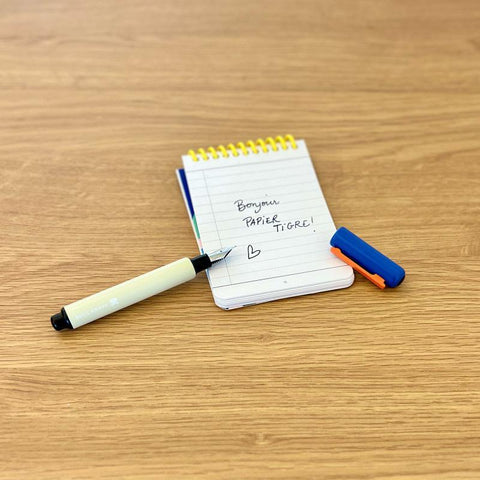 Papier Tigre Fountain Pen, Blue