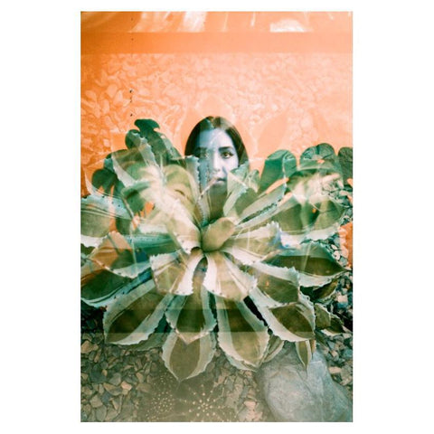 LomoChrome Turquoise 35mm Film