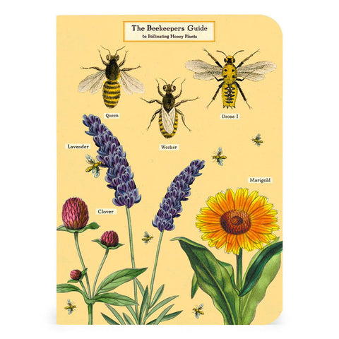 Bees + Honey Mini Notebook Set