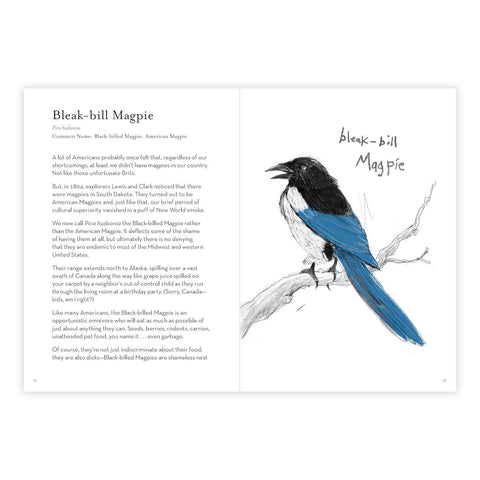 A Dumb Birds Field Guide to the Worst Birds Ever