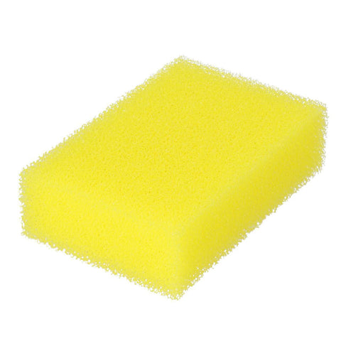 Sun Sun Sponges