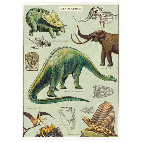 Dinosaurs Wrap