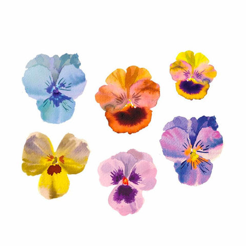 Pansies Tattoos