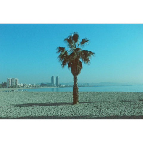 PACIFIC Specialty Color 35mm Film, 200 ISO