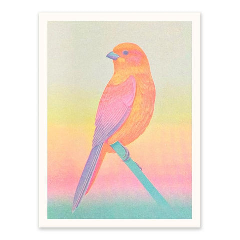 Neon Ombré Bird Print