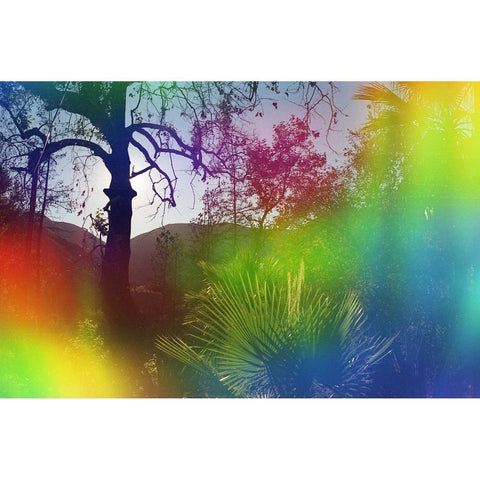 Psychedelic Blues #4 Specialty Color 35mm Film