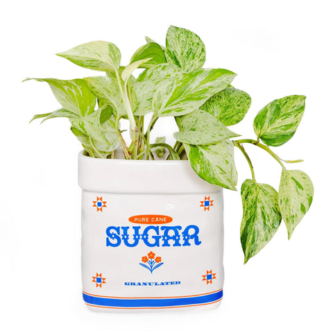 Sugar Jar Ceramic Planter