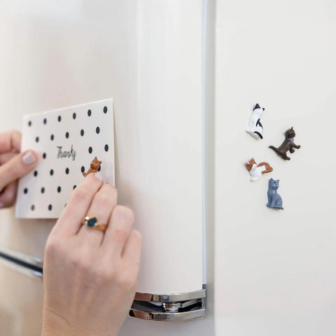 Colorful Cat Magnets Set