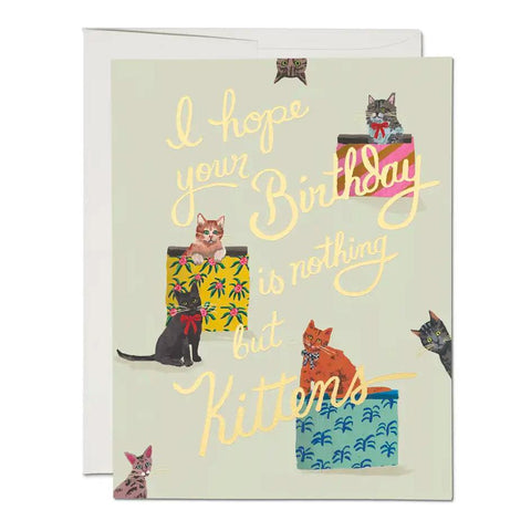Nothing but Kittens Card