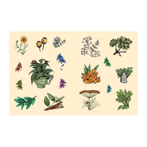 The Green Witch's Sticker Book