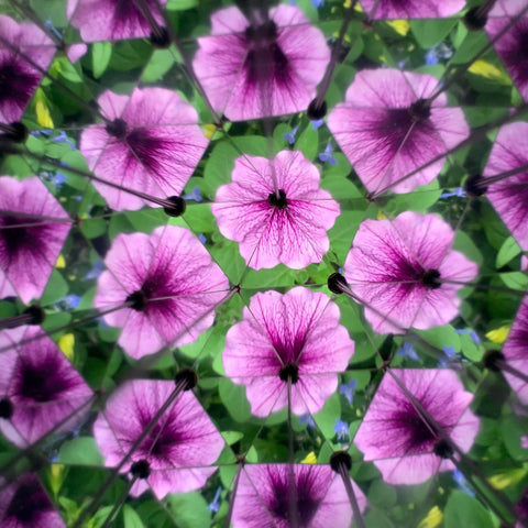 Huckleberry DIY Kaleidoscope