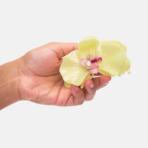 Orchid Hair Claw, Citrine