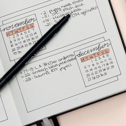 Bullet Journals