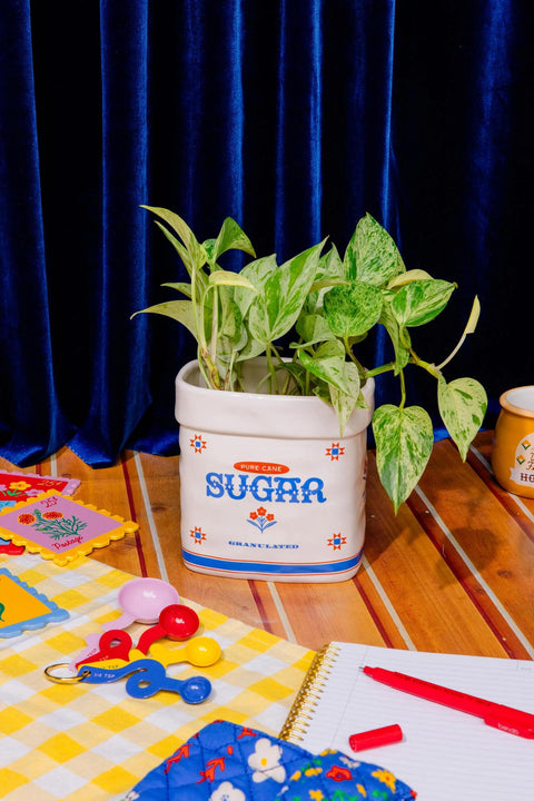 Sugar Jar Ceramic Planter