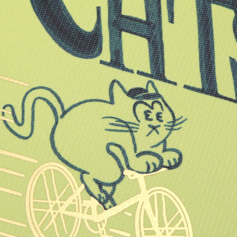 Cats 2027 Diary