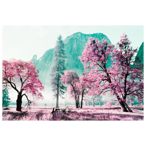 LomoChrome Purple Pétillant 35mm Film