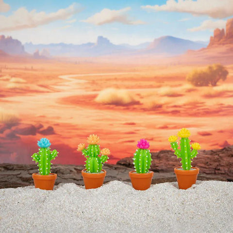 Itty Bitty Cactus