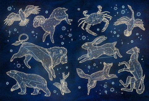 The Collector's Curio: A Sticker Treasury