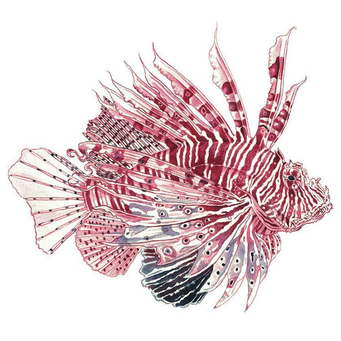 Lionfish Burgundy Ink