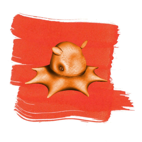 Flapjack Octopus Orange Ink
