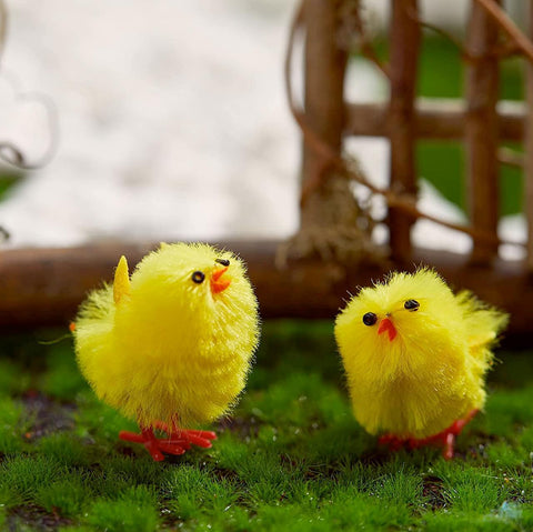 Teeny Tiny Chickies