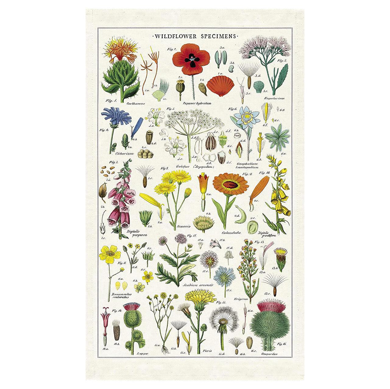 Cavellini Wildflower Tea Towel - Thumbnail 5