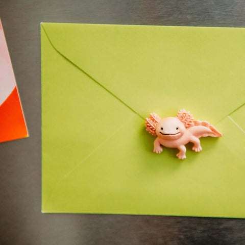 Axolotl Magnets Set