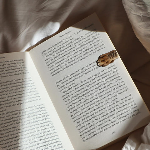Magnetic Cat Paw Bookmarks