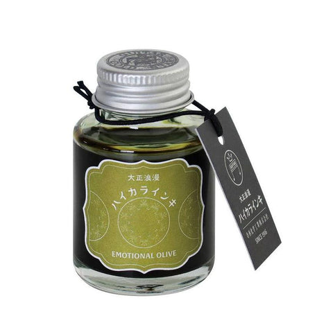 Teranishi Guitar Taisho Roman Haikara Ink, Emotional Olive