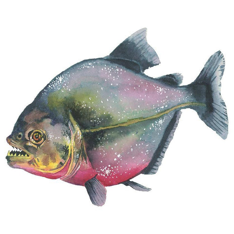 Piranha Red Ink