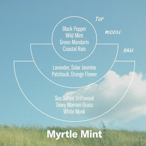 Myrtle Mint Alchemy Incense Cones