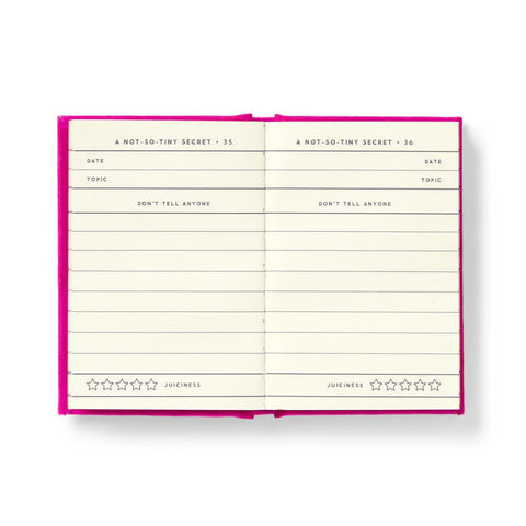Tiny Diary for Not So Tiny Secrets