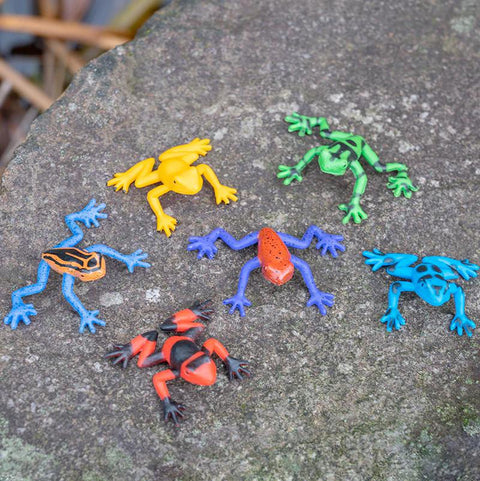 Itty Bitty Poison Dart Frog