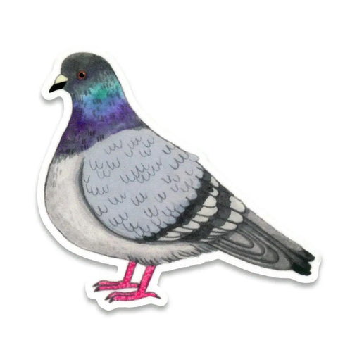 Pigeon Sticker