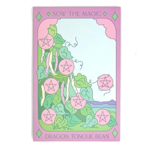 Dragon Tongue Bush Bean Tarot Seed Packet