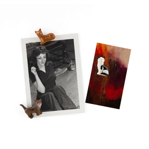 Colorful Cat Magnets Set