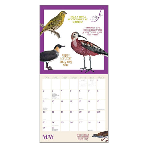 Effin' Birds 2027 Wall Calendar
