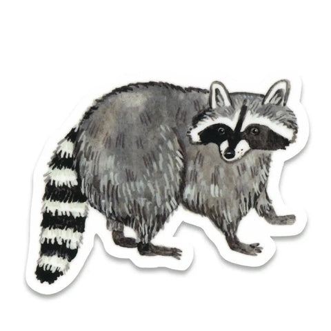 Raccoon Sticker